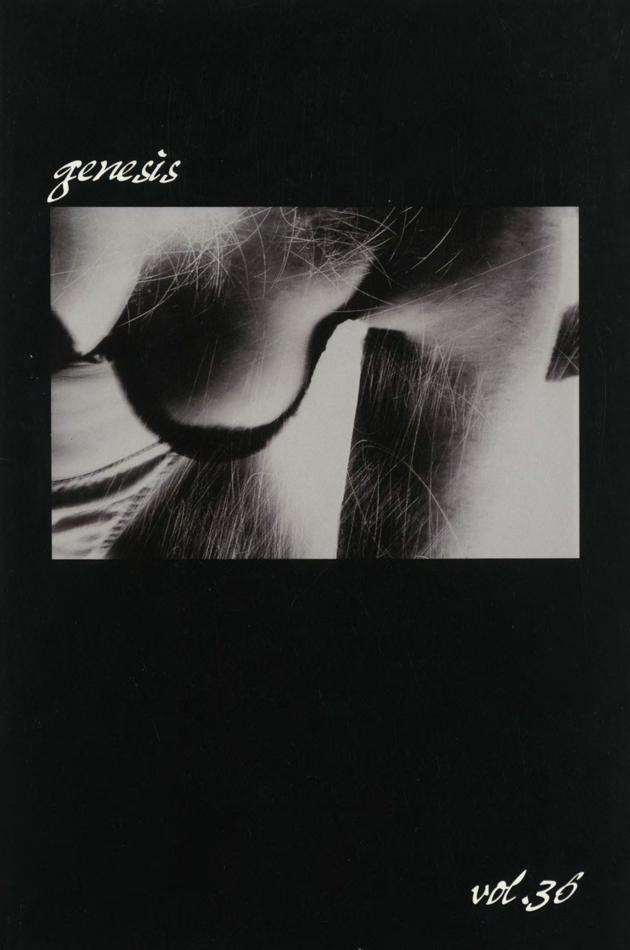 genesis spring 2004 cover