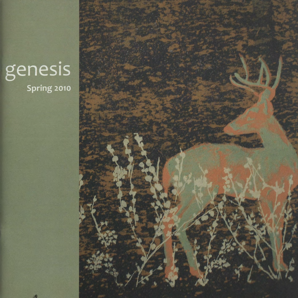 genesis spring 2010 cover
