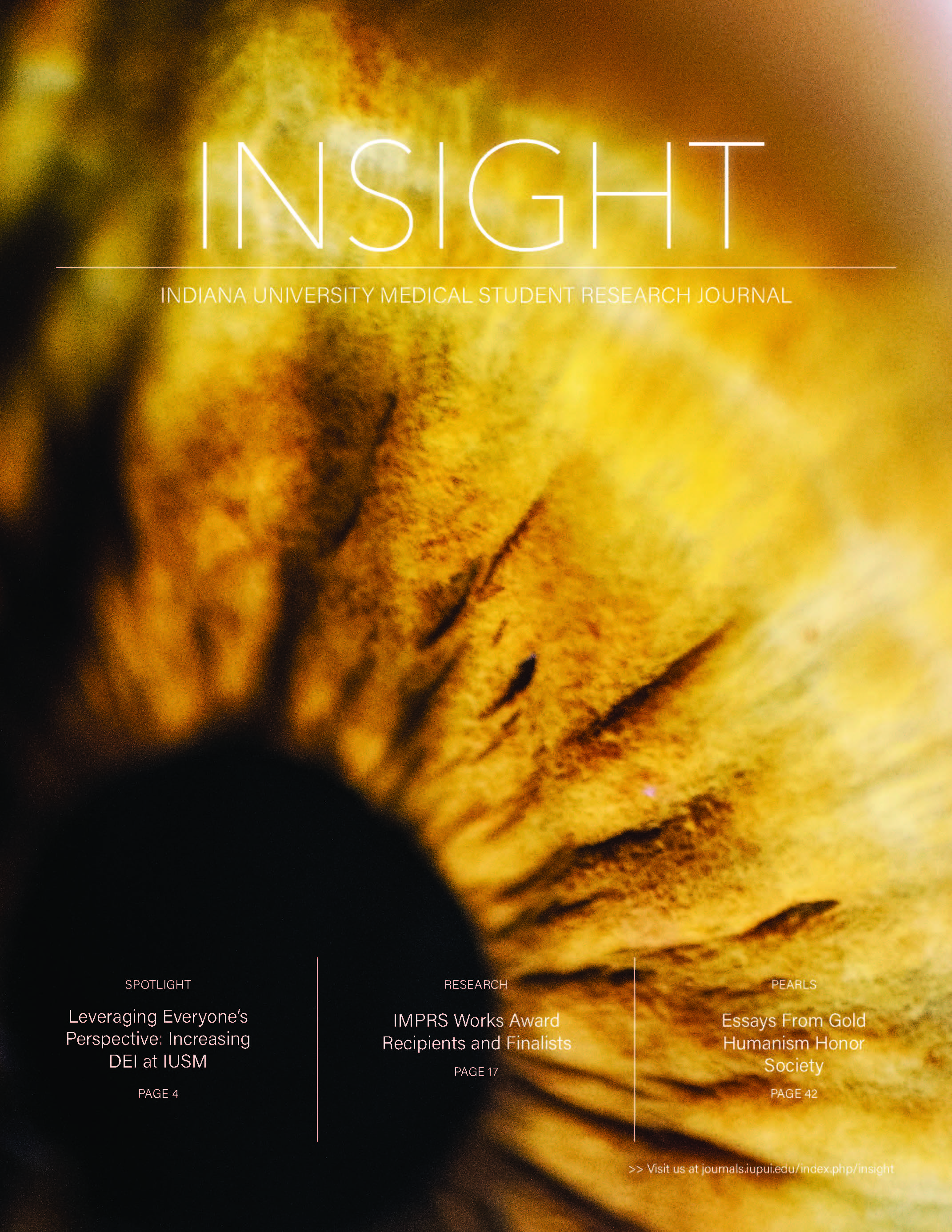 Insight Vol. 4 Cover